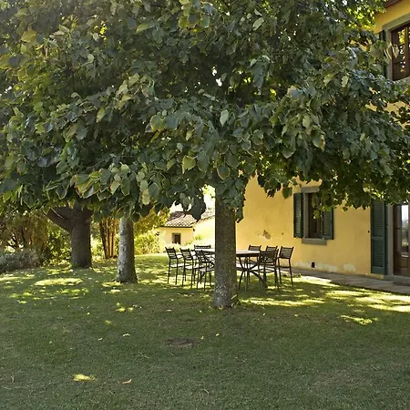 Cegliolo