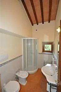 Cegliolo