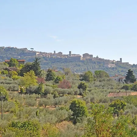 Cegliolo *